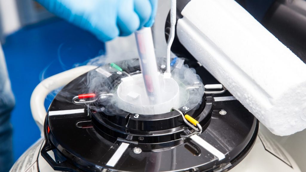 Transporting frozen embryos internationally